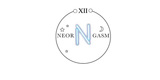 Women Fashion Accessories | Venox Necklace | Neorgasm