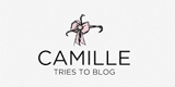 Camille tries to blog